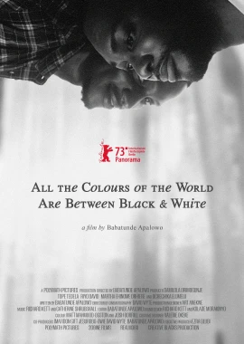 All the Colours of the World Are Between Black and White film poster image