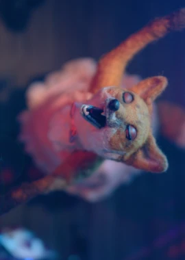 Kurzfilmprogramm: Heimspiel film poster image