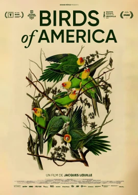 Birds of America film poster image