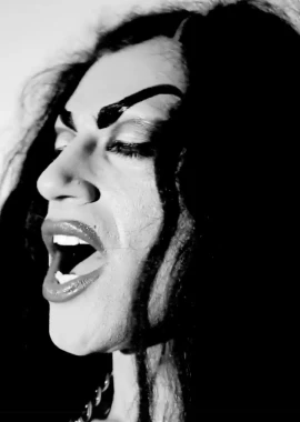 Touring the Chilean Body film poster image