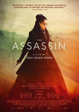 The Assassin film poster image