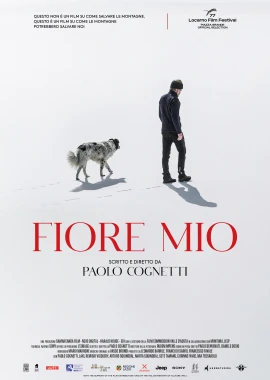 Fiore Mio film poster image