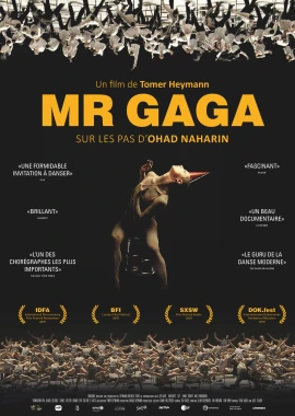 Mr. Gaga film poster image