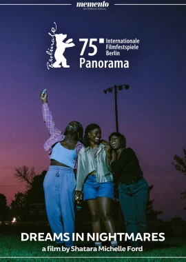 Dreams in Nightmares film poster image