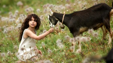 Heidi (2015) film trailer button