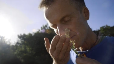 Sein - Gesund, Bewusst, Lebendig film trailer button