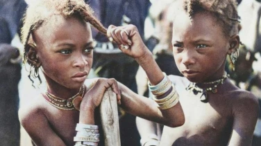Henry Brandt en Afrique  film trailer button