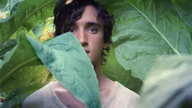 Lazzaro Felice film trailer button