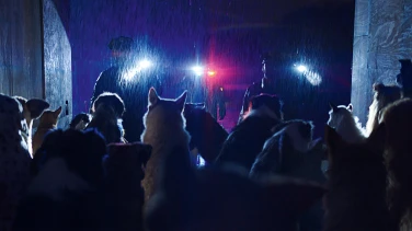 DogMan film trailer button