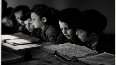 Vishniac film trailer button