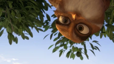 Zambezia film trailer button