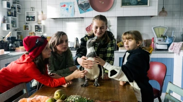 Die Chaosschwestern und Pinguin Paul film trailer button