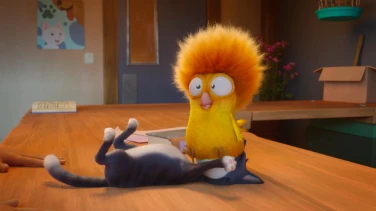 Alles für die Katz film trailer button