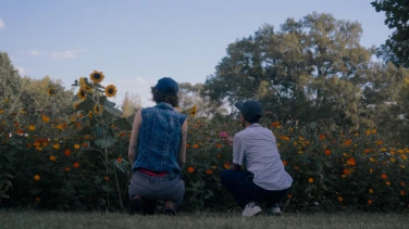 What Will I Become film trailer button