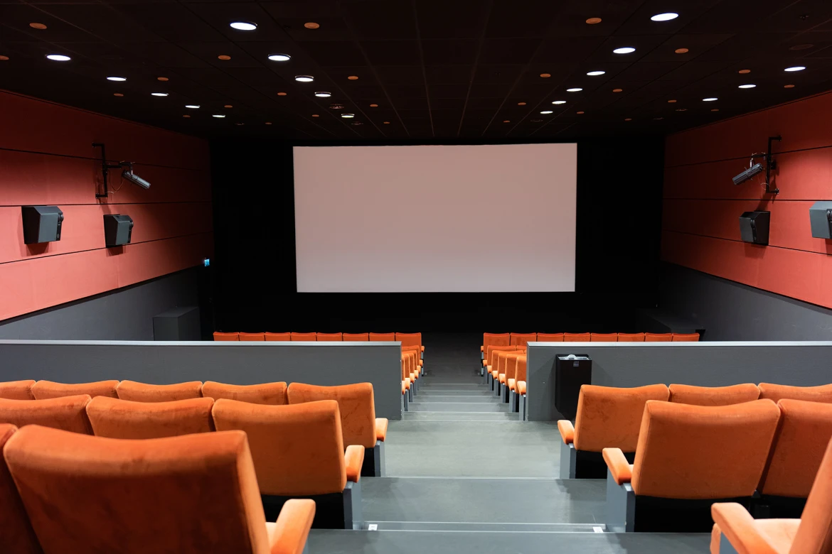 Bourbaki cinema hall view