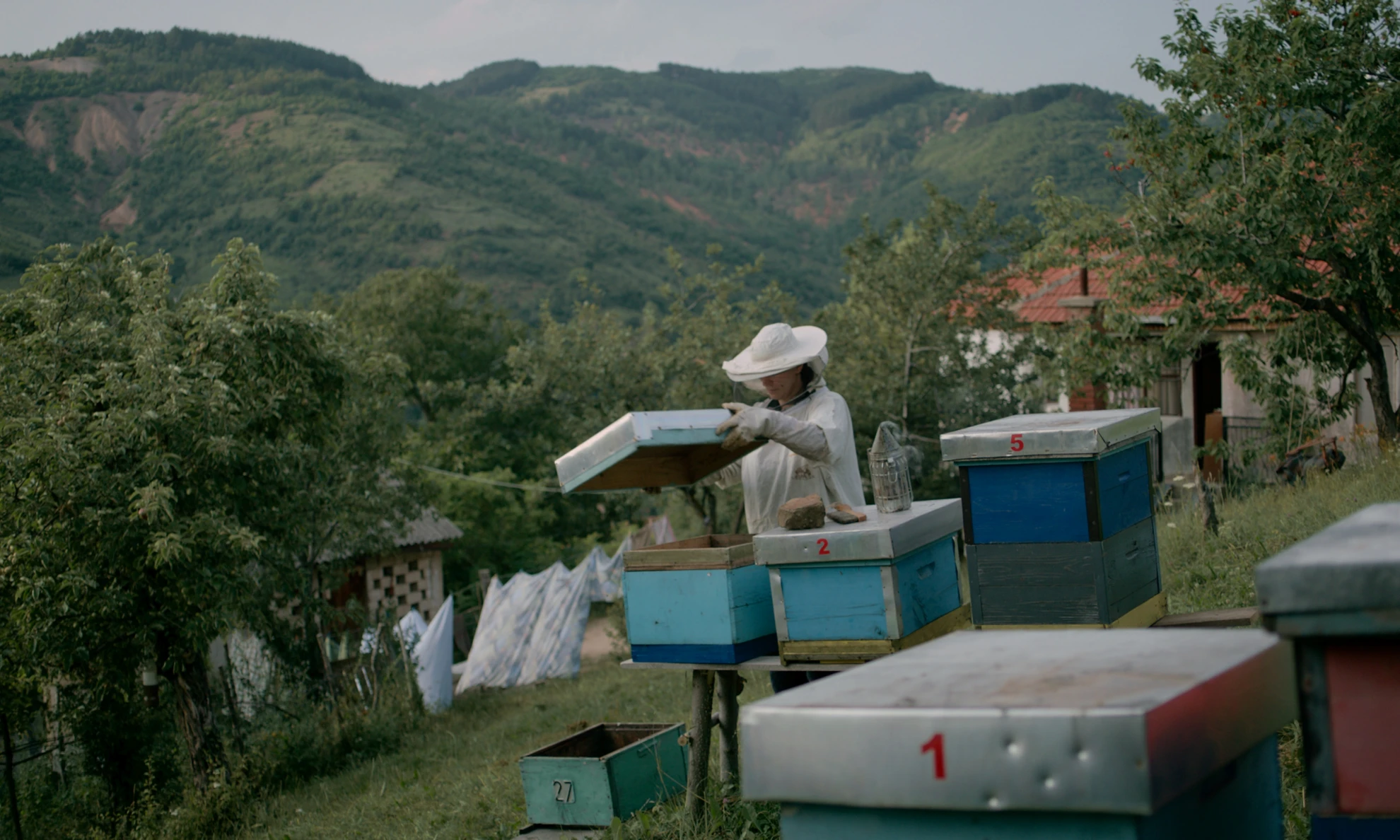 Hive hero banner image placeholder