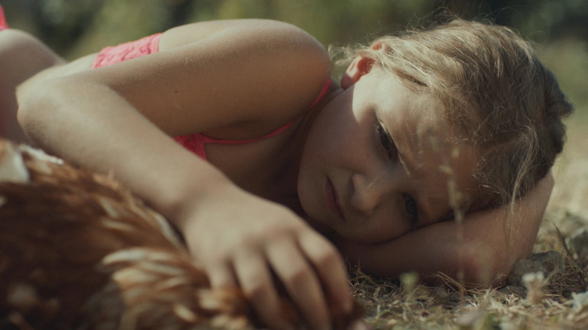 Une colonie hero banner image placeholder