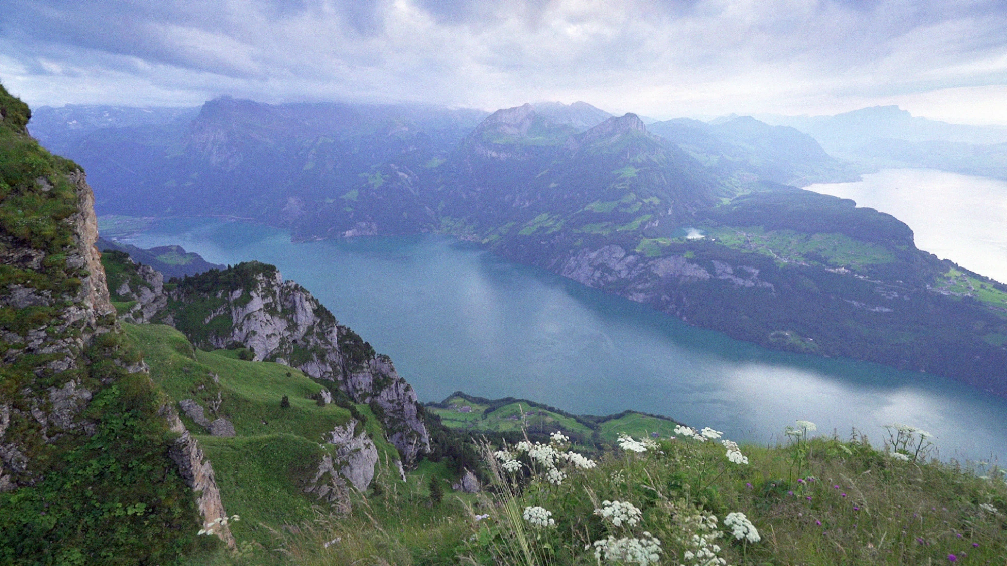 Welcome to Zwitscherland hero banner image placeholder