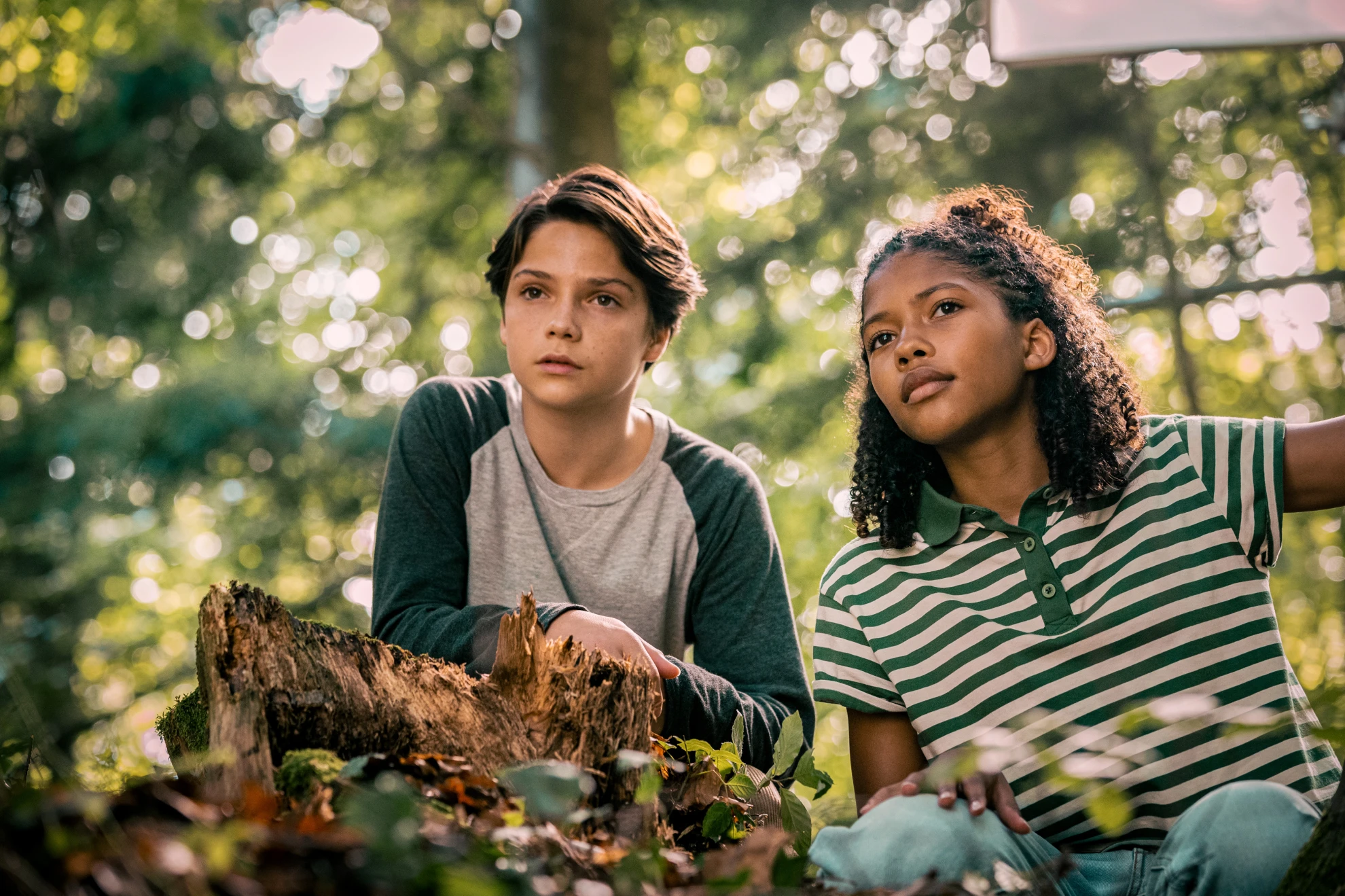 Woodwalkers hero banner image placeholder