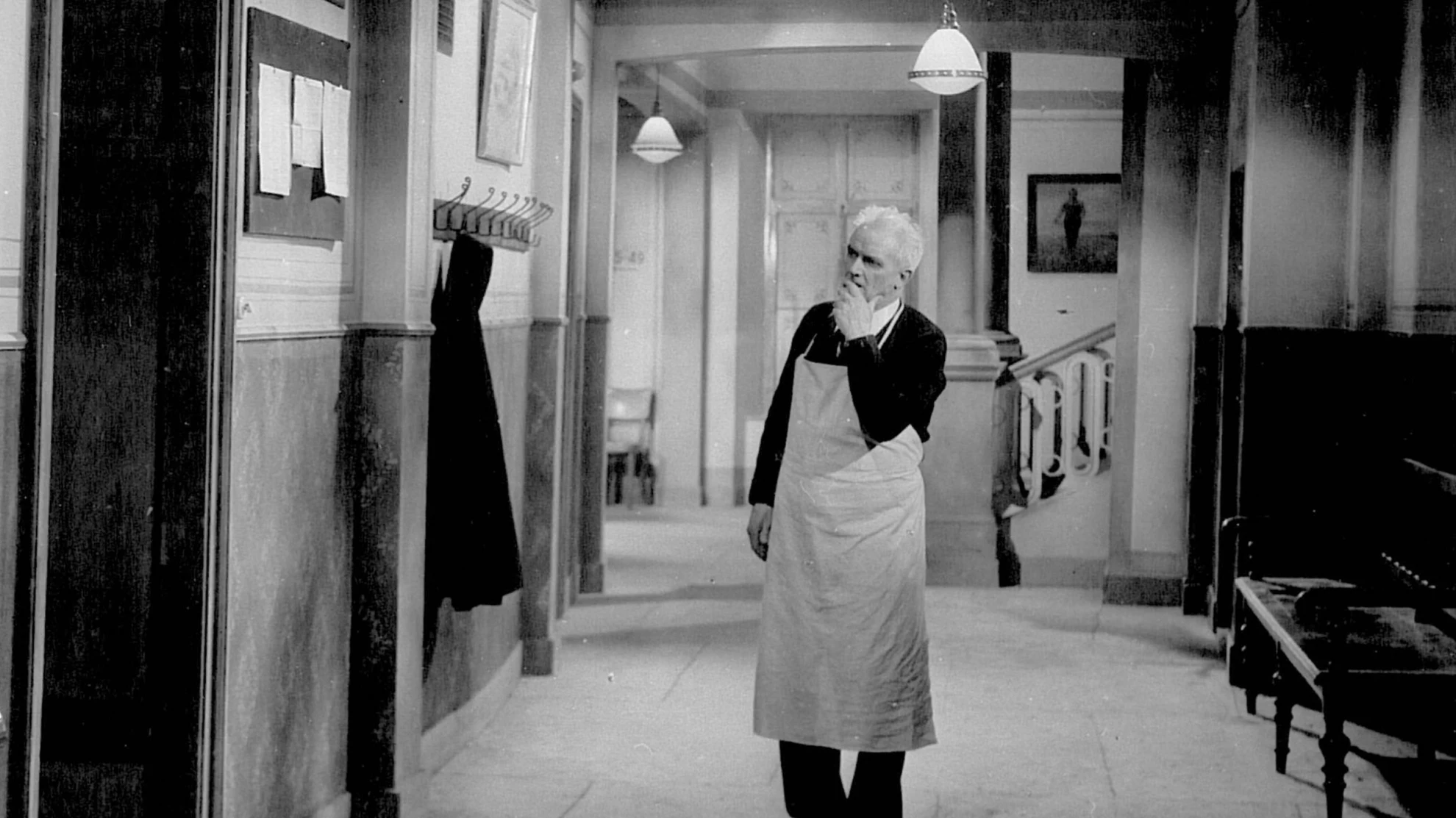 Matto regiert hero banner image placeholder