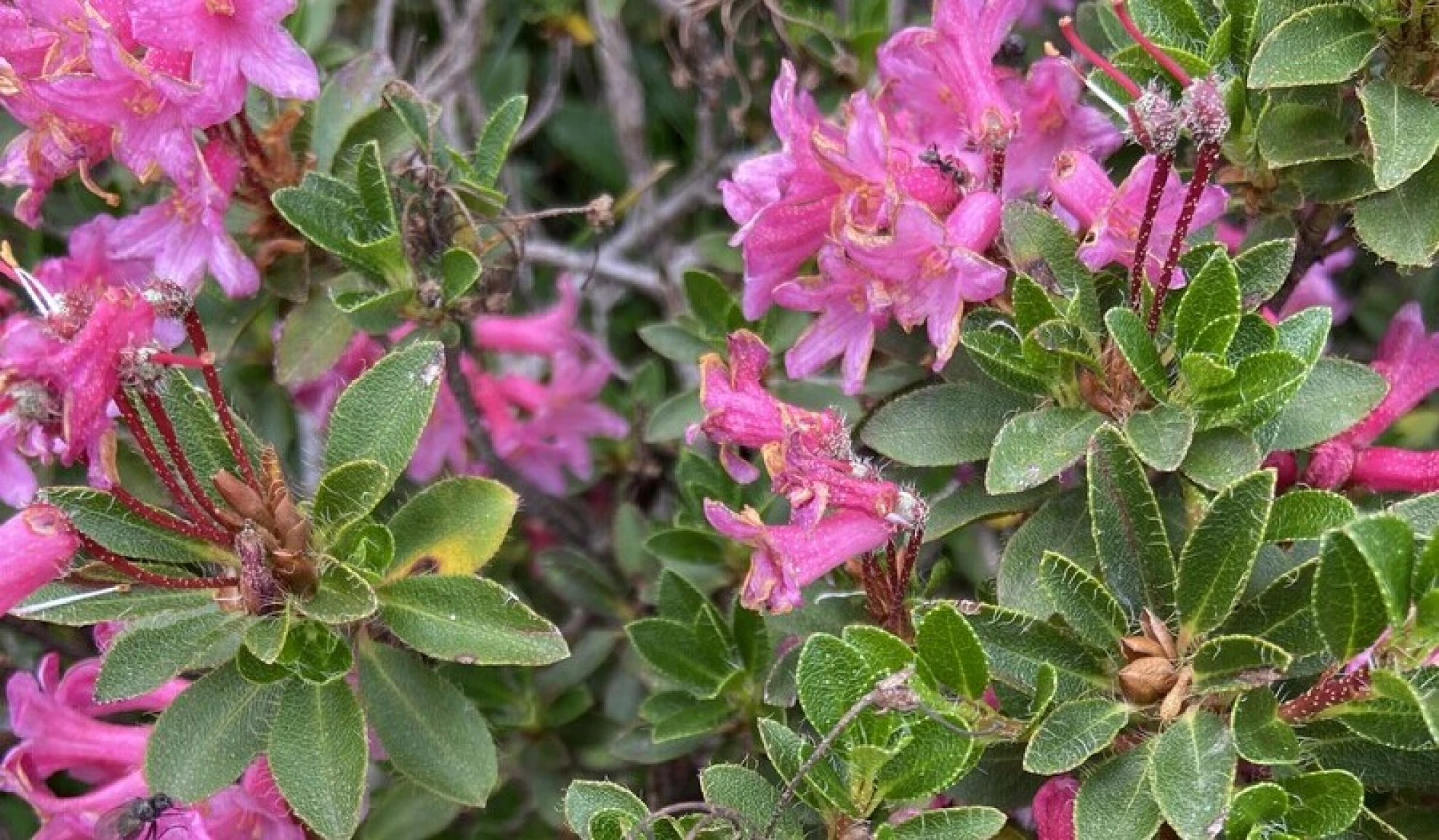 Home Born Porn hero banner image placeholder