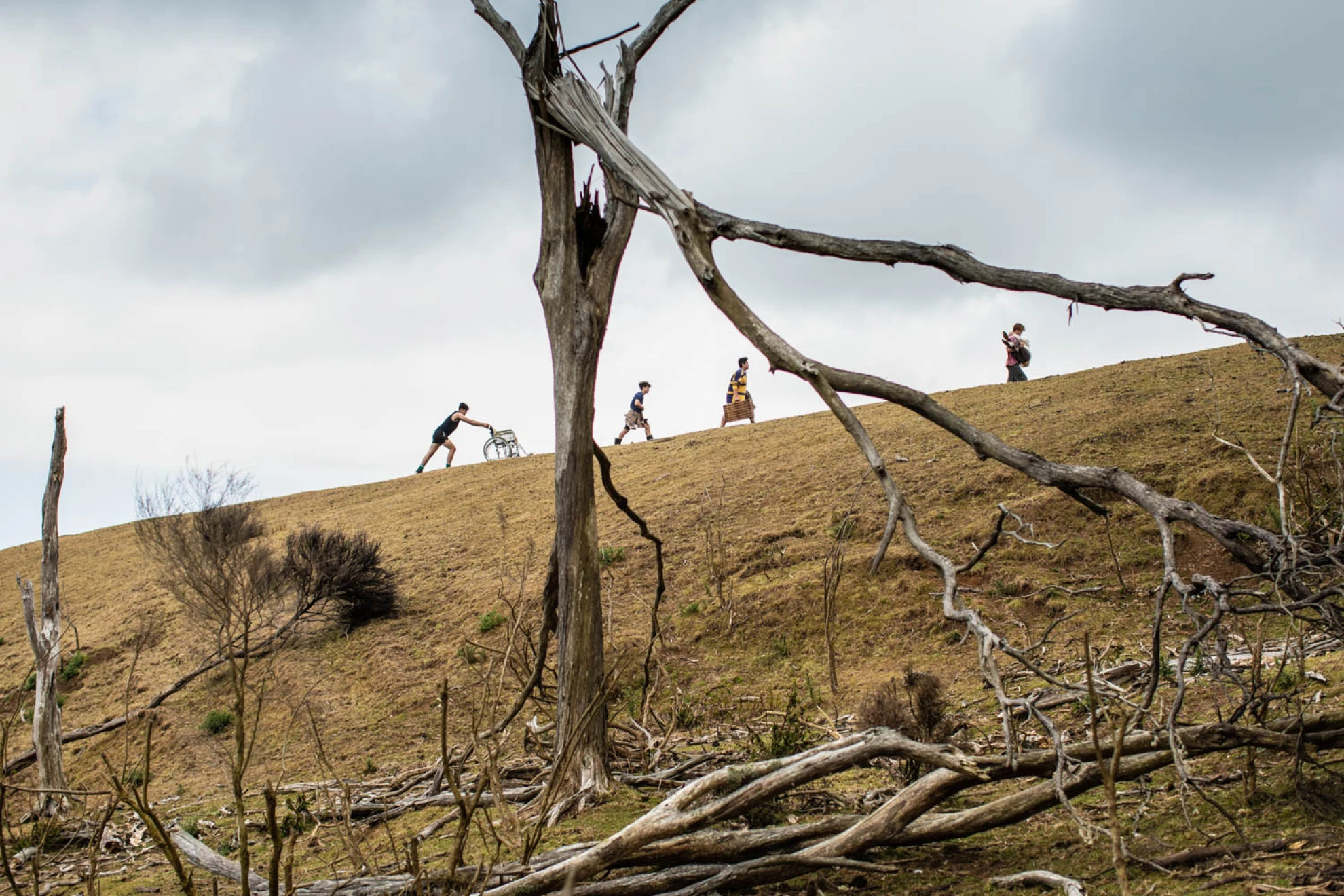 Juniper hero banner image placeholder