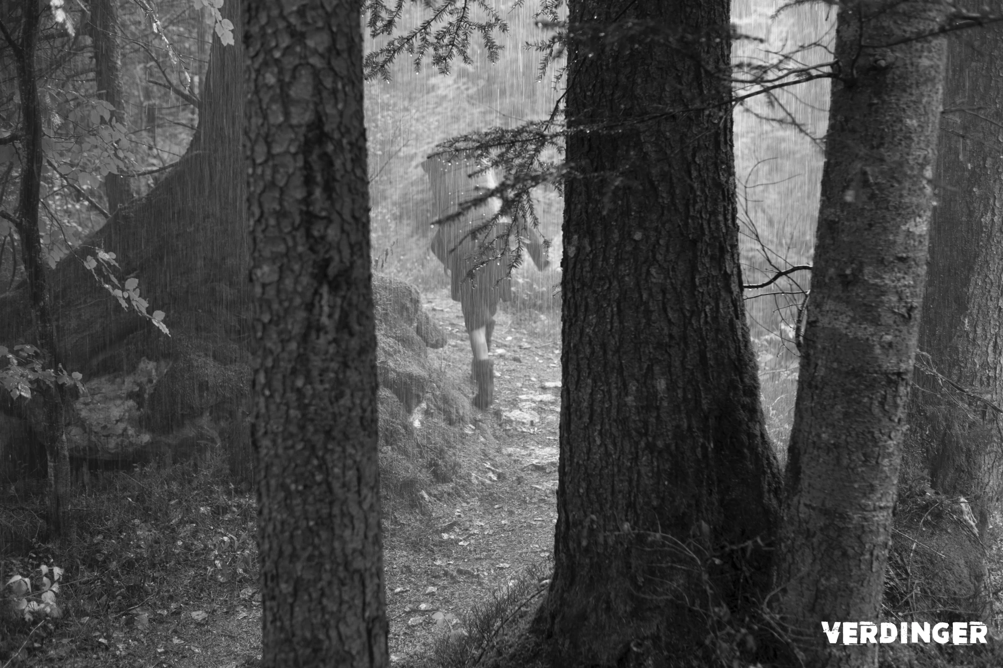 Verdinger hero banner image placeholder