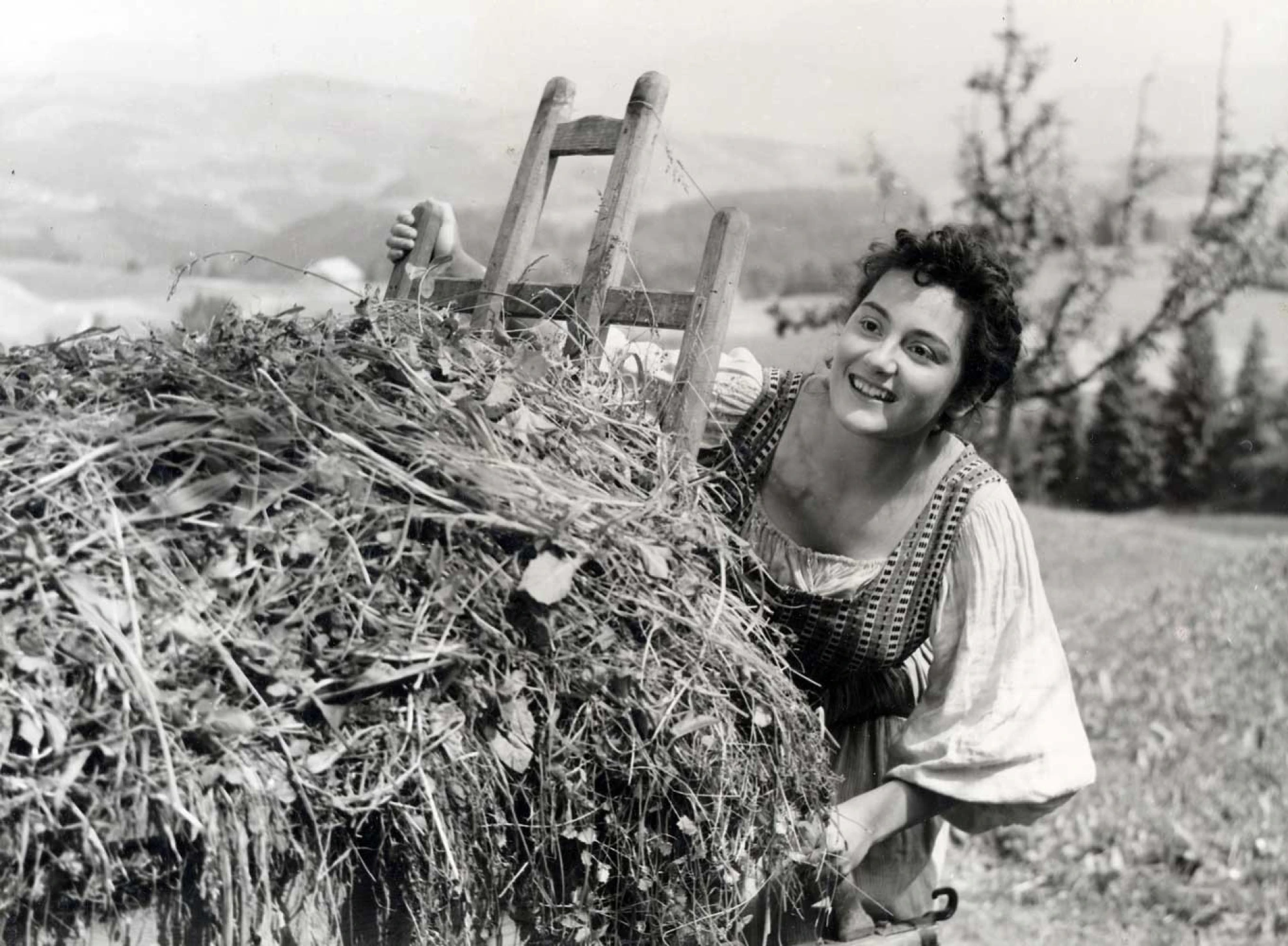 Uli der Knecht hero banner image placeholder