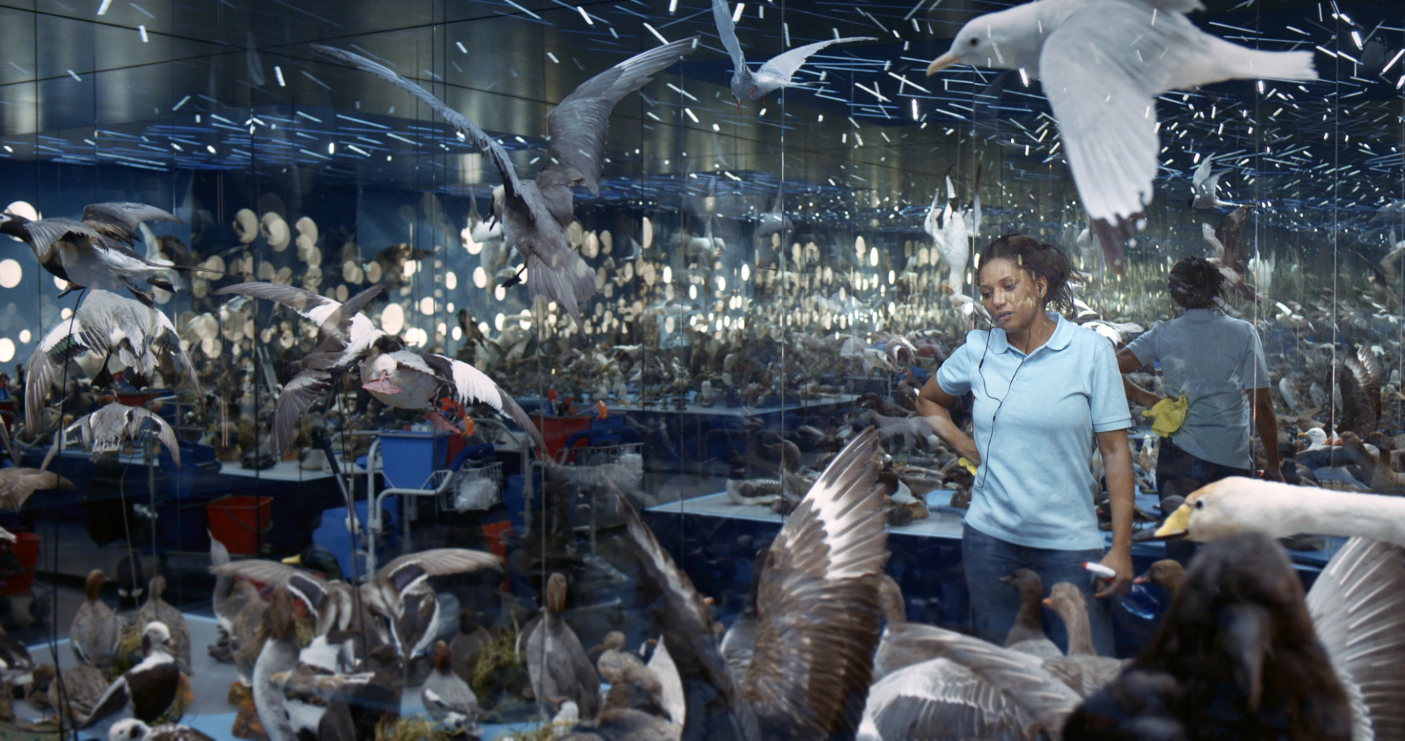 Echo hero banner image placeholder