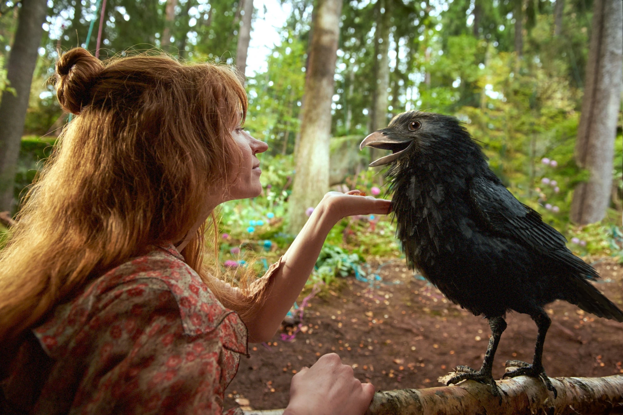 Di chli Häx hero banner image placeholder