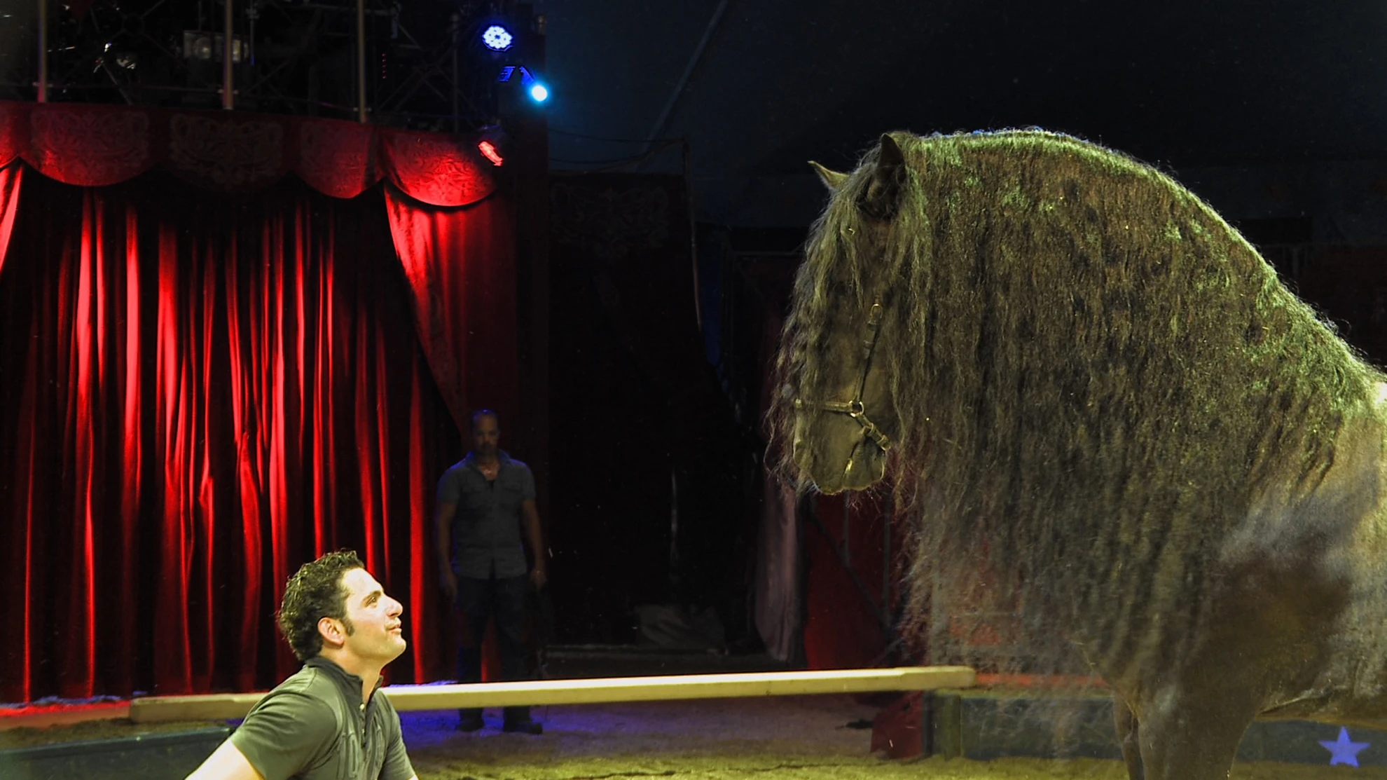 Being with Animals hero banner image placeholder