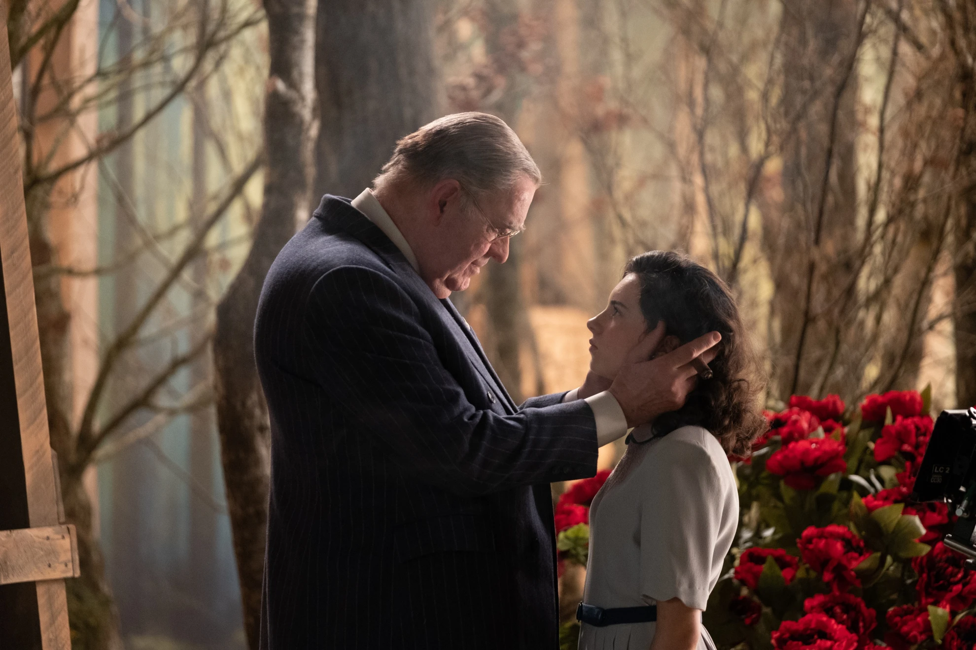 Judy hero banner image placeholder