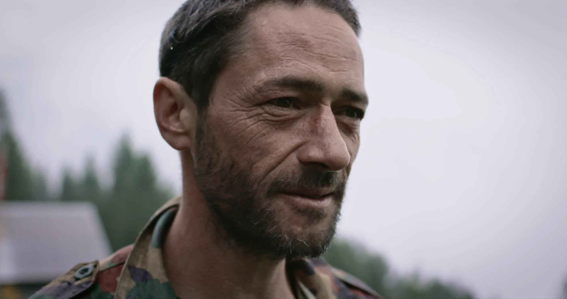 Kühe auf dem Dach hero banner image placeholder