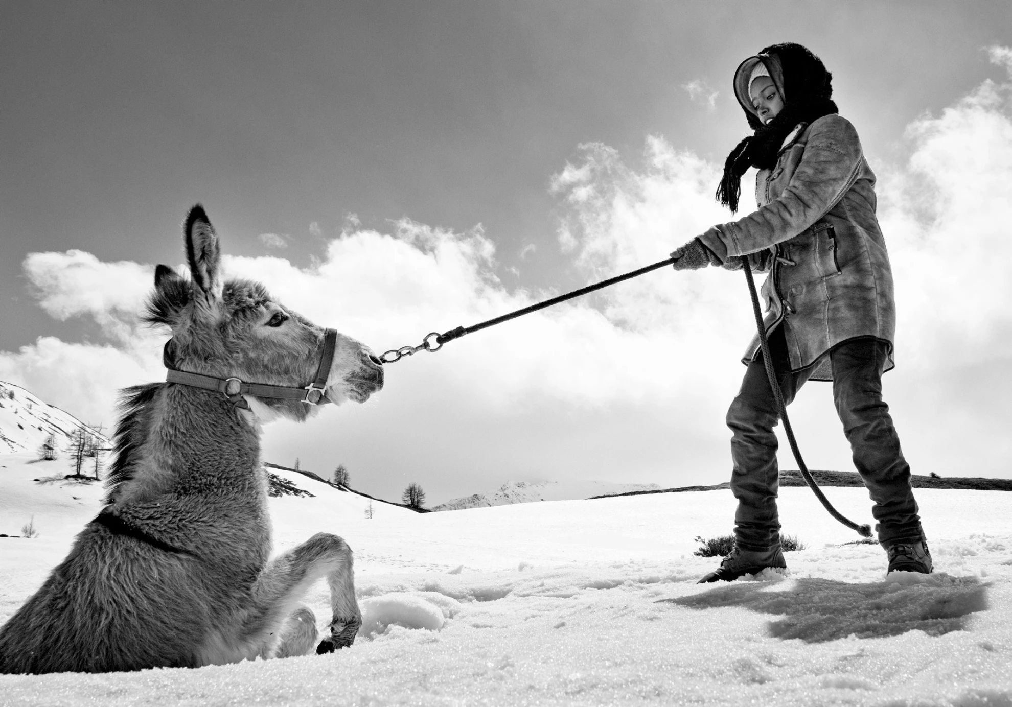 Fortuna hero banner image placeholder