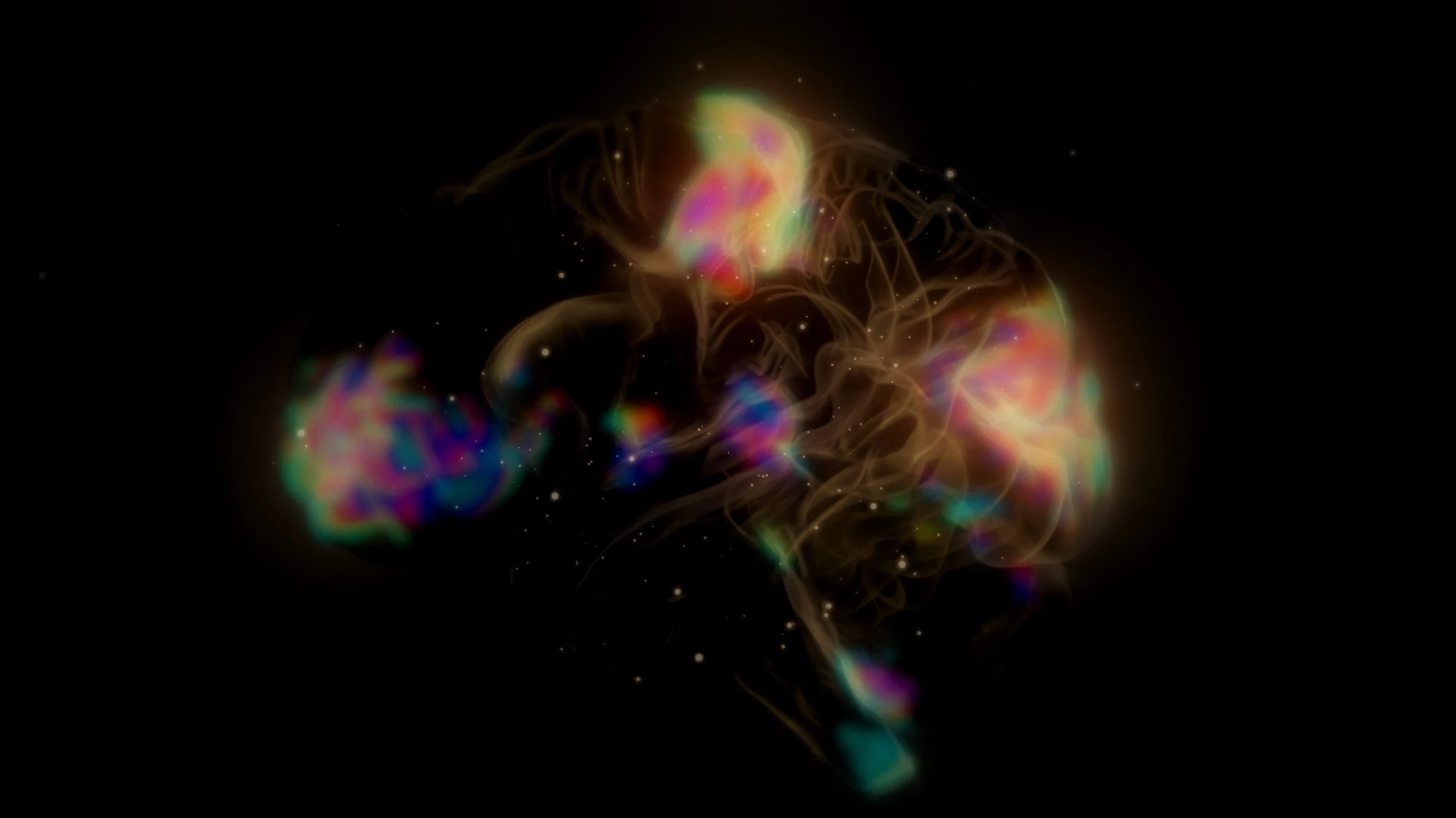 Golden Seniors hero banner image placeholder