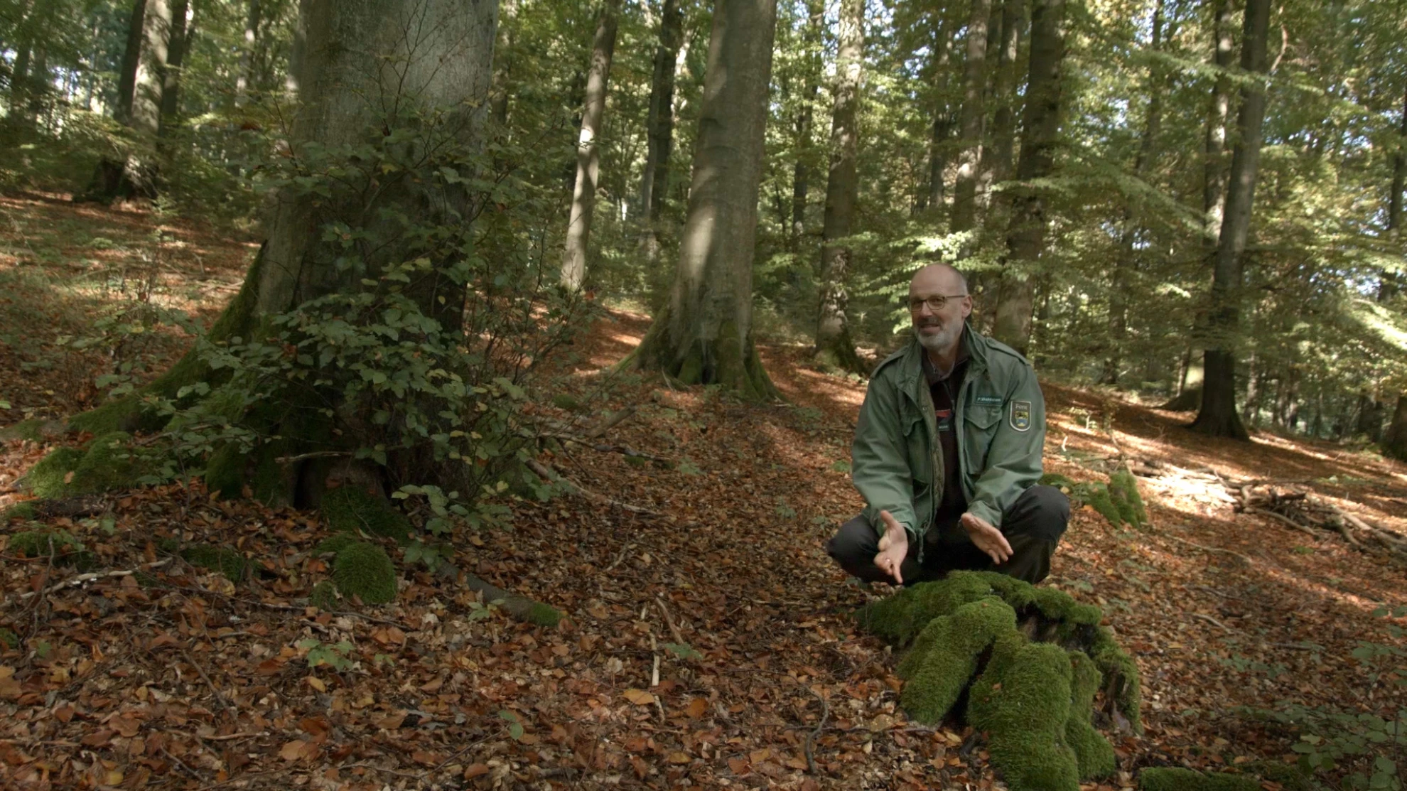 Intelligente Bäume hero banner image placeholder