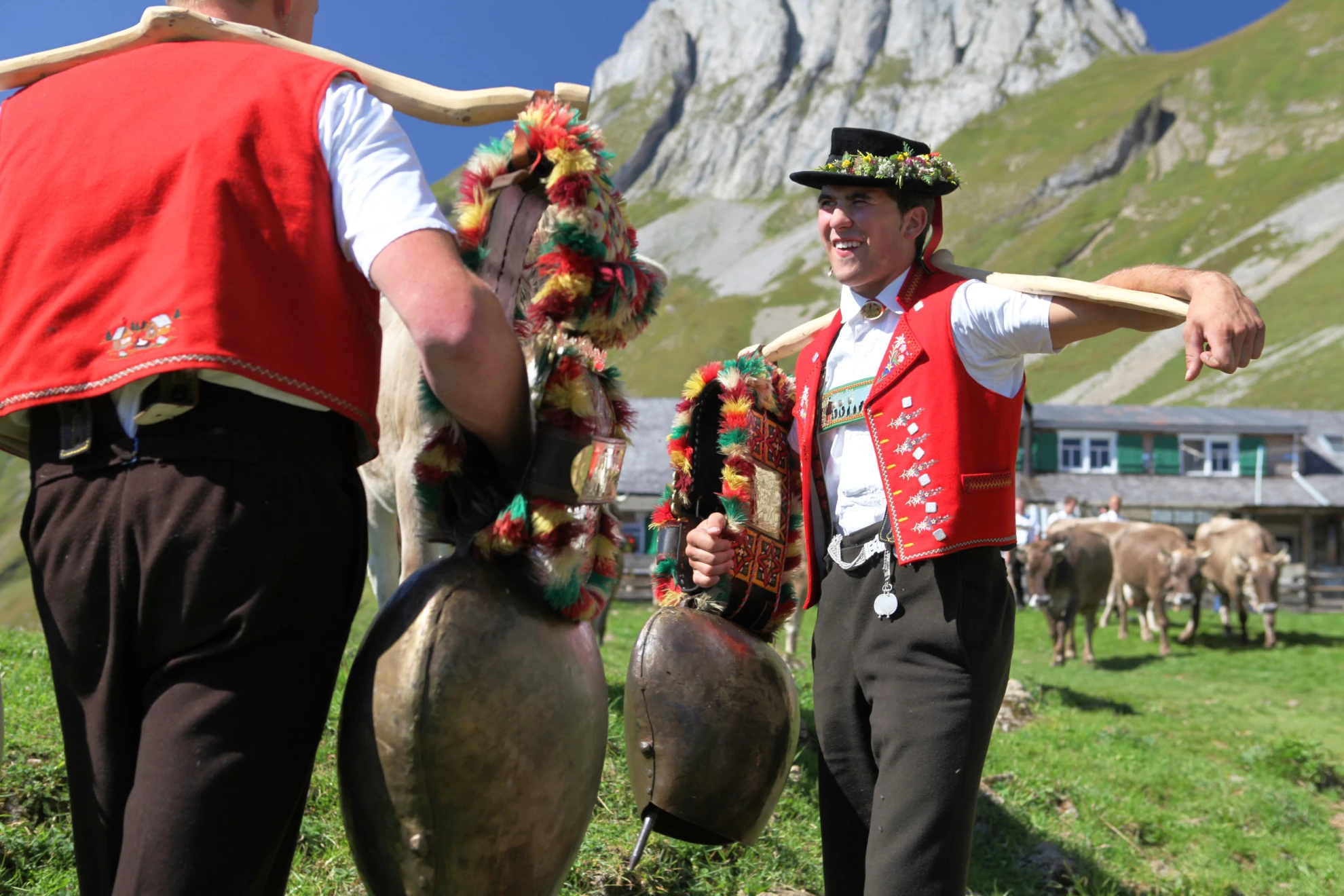 Alpzyt hero banner image placeholder