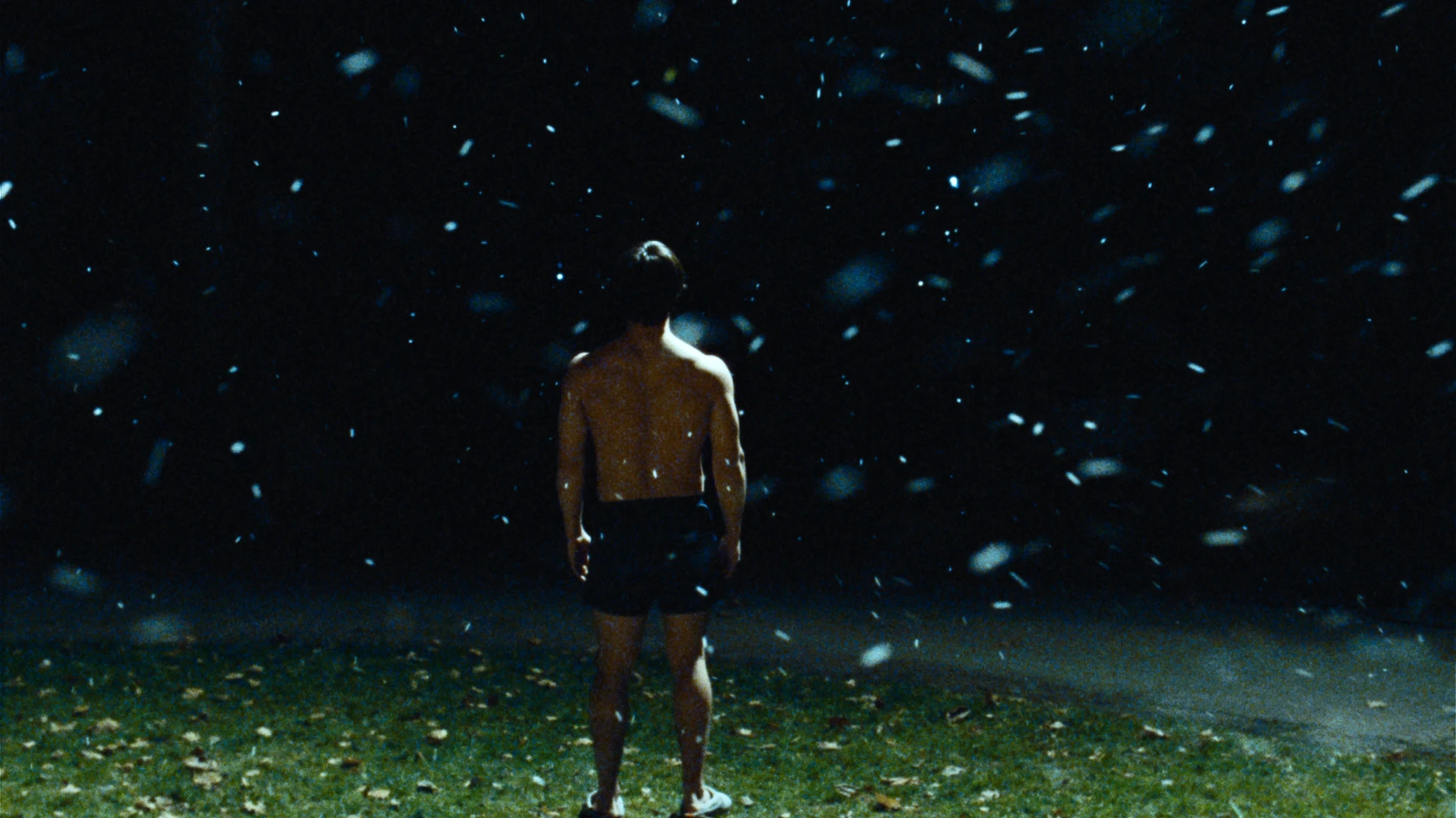 Kurzfilmwettbewerb: Dihei hero banner image placeholder