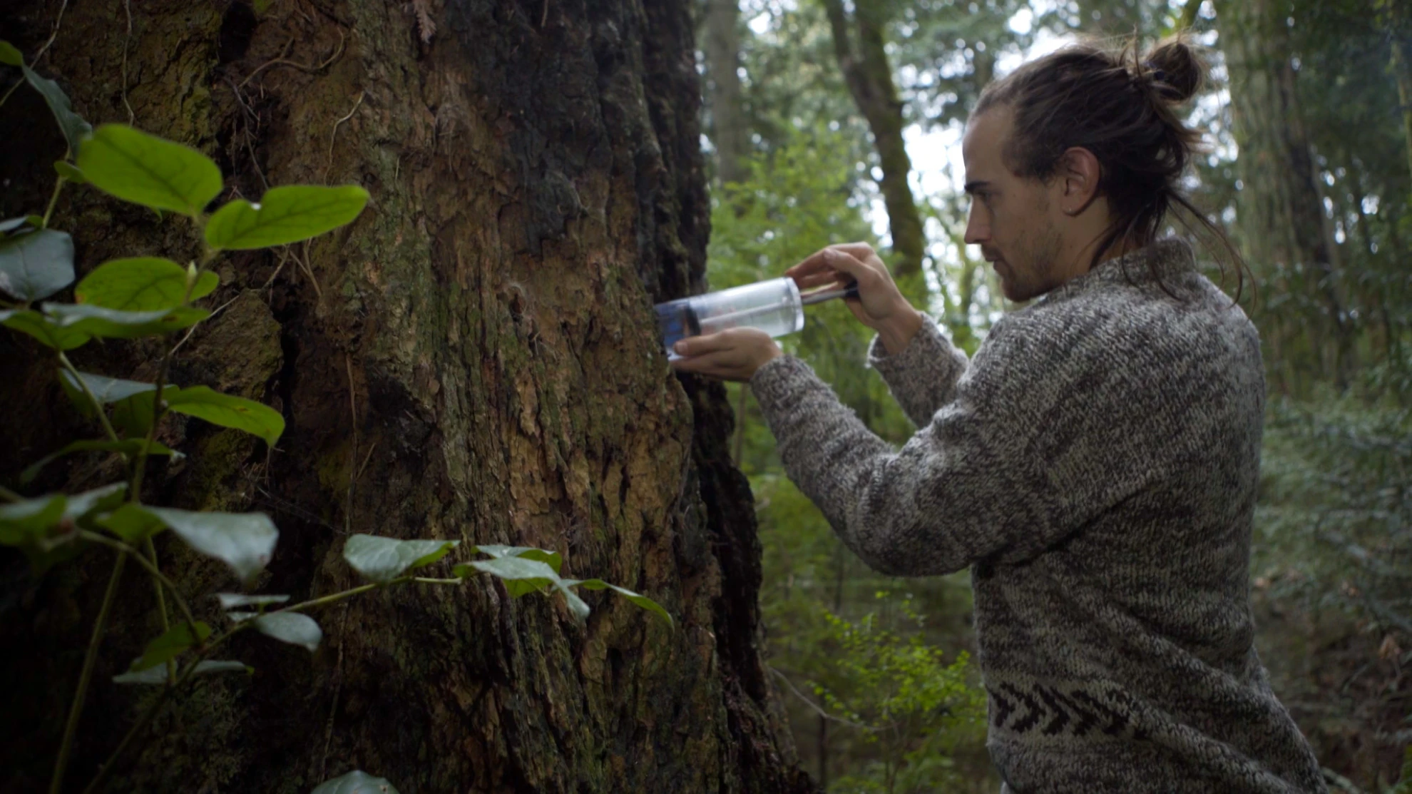 Intelligente Bäume hero banner image placeholder