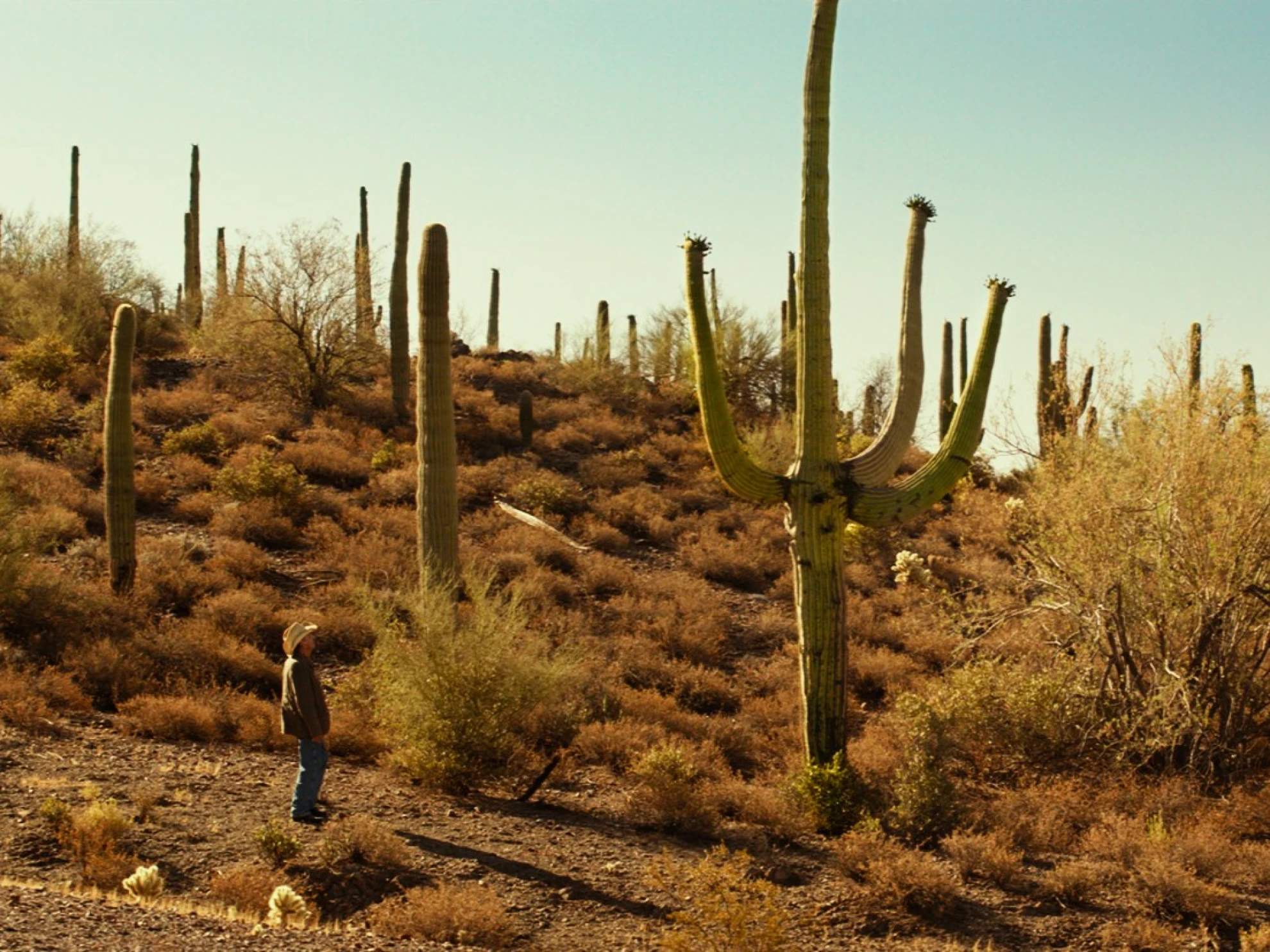 Lucky hero banner image placeholder