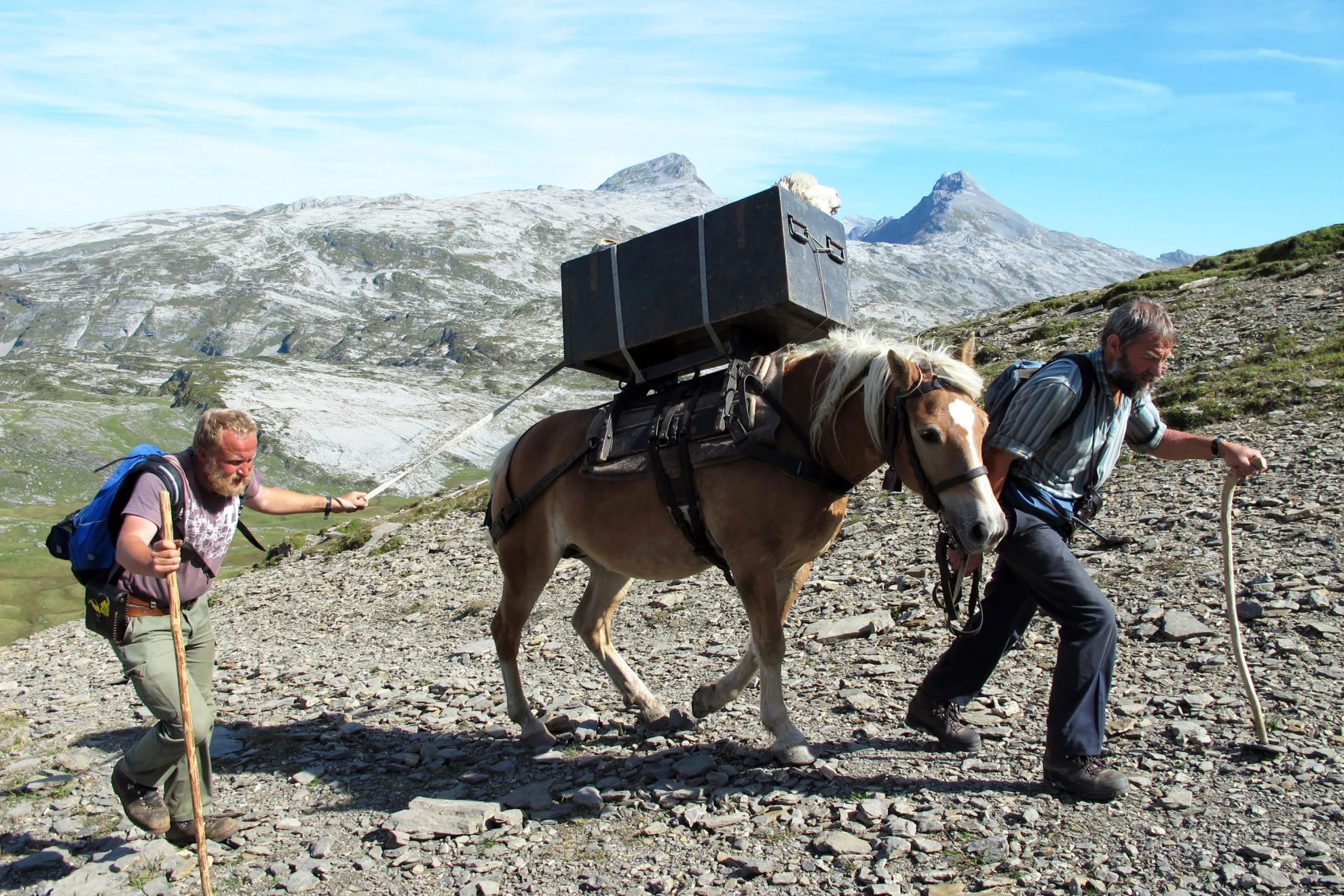 Alpzyt hero banner image placeholder