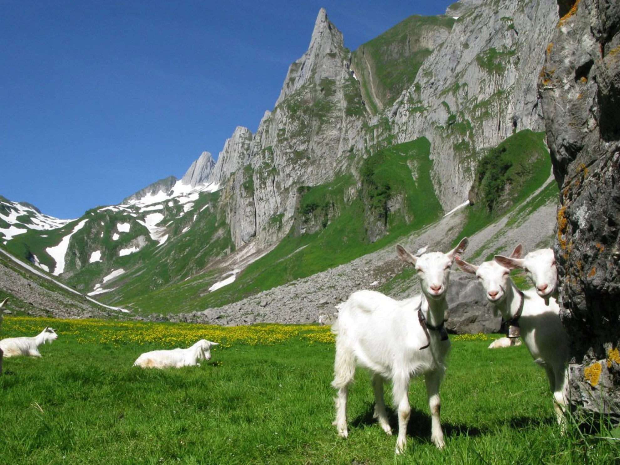 Schönheiten des Alpsteins hero banner image placeholder