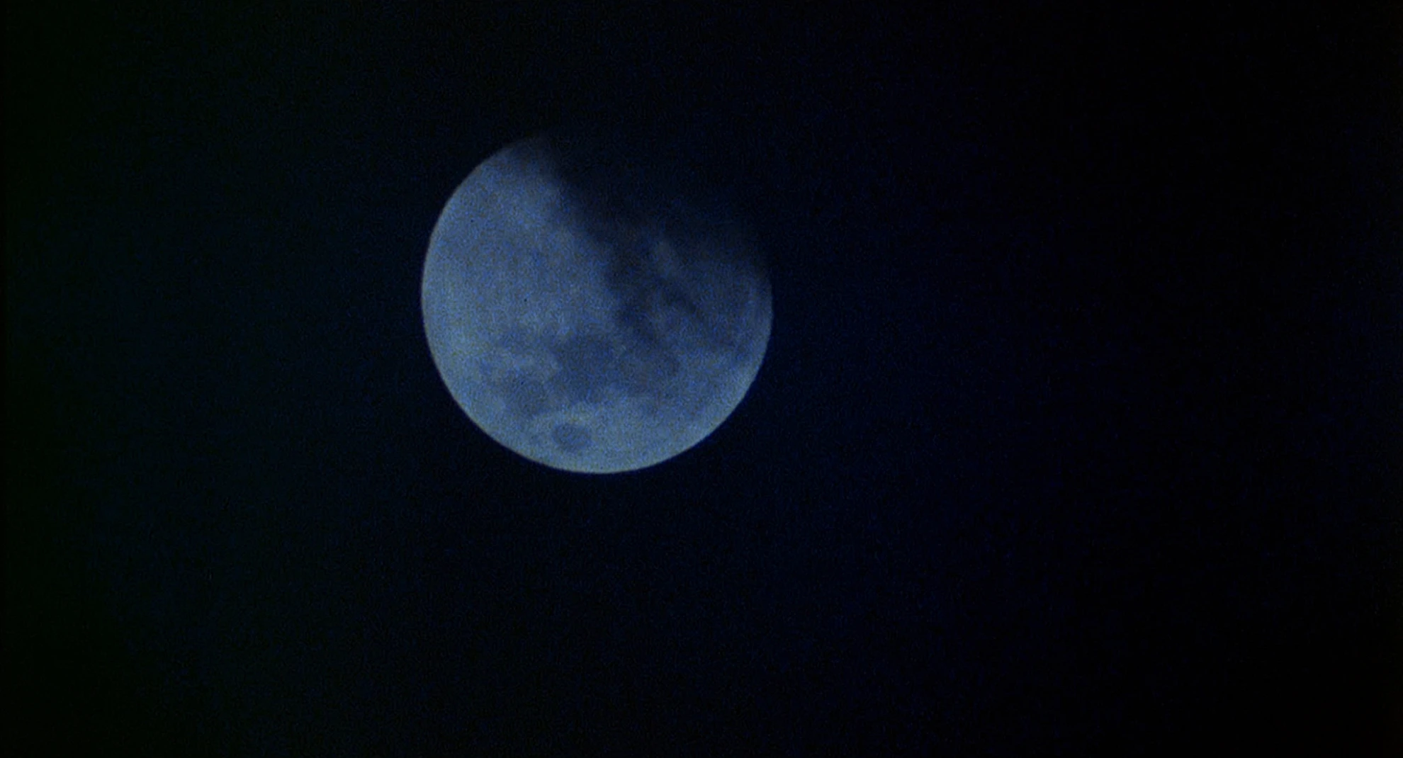 An American Werewolf in London hero banner image placeholder