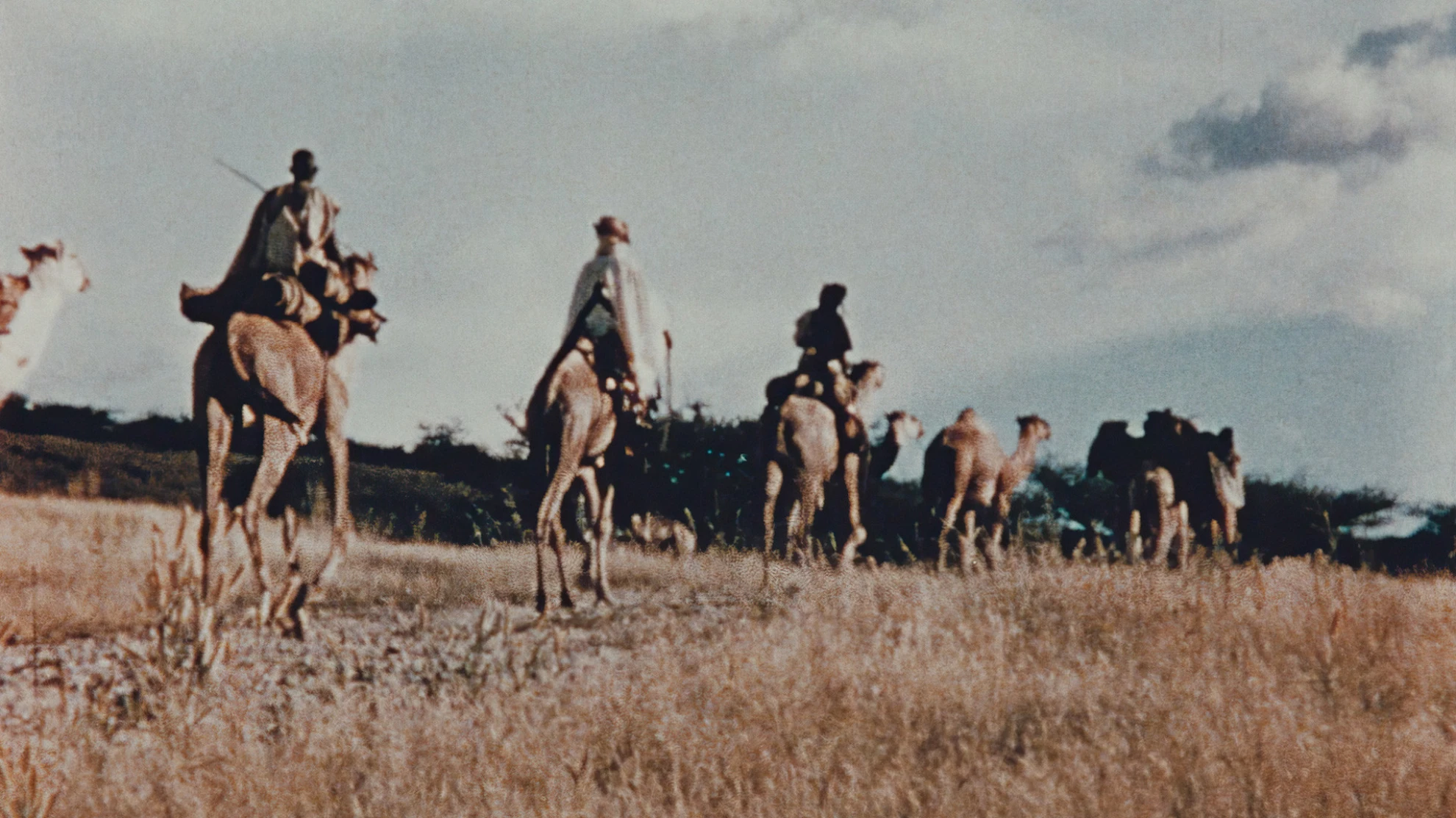 Henry Brandt en Afrique  hero banner image placeholder