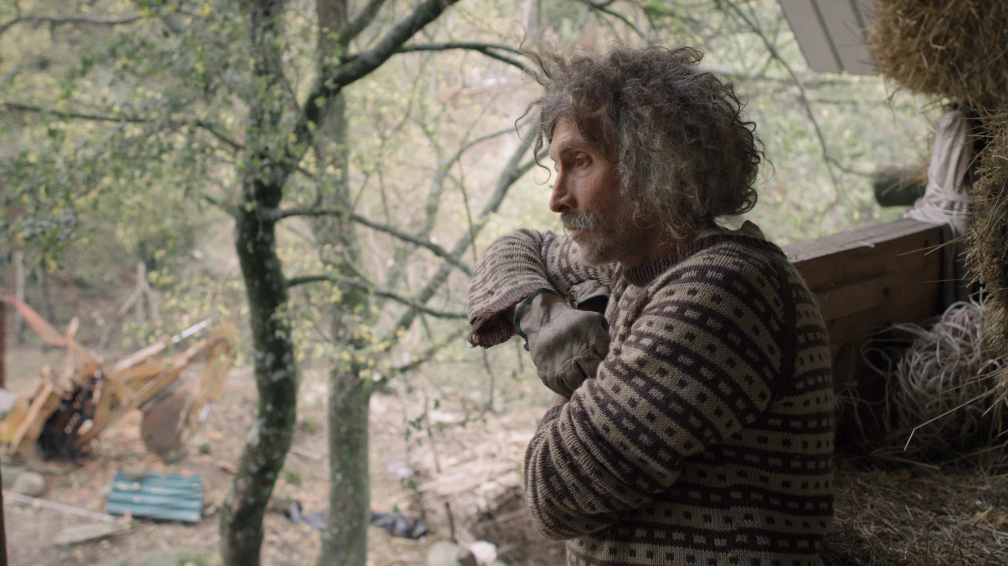 Caveman - Il Gigante Nascosto hero banner image placeholder