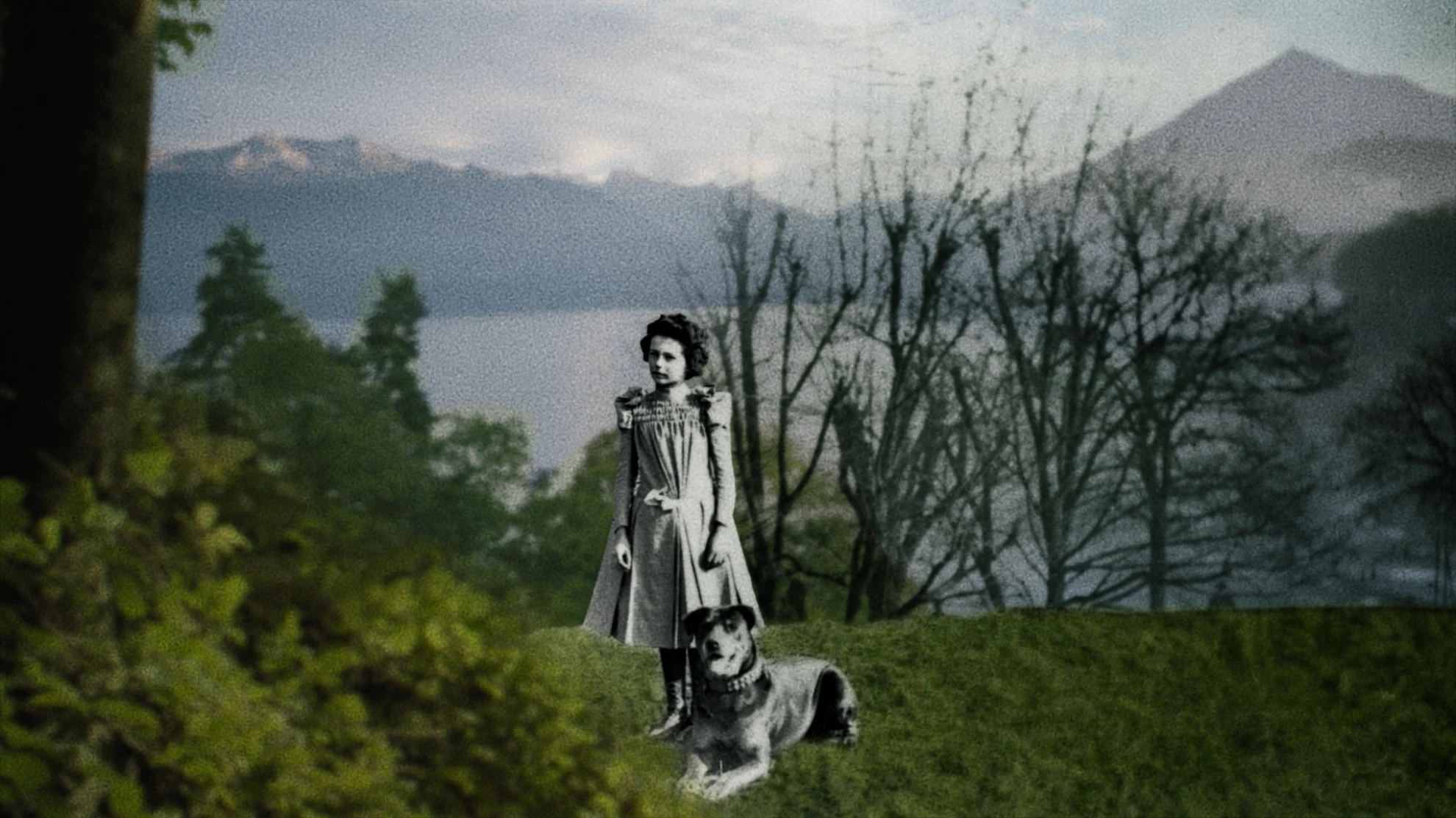 Die Pazifistin - Gertrud Woker: Eine vergessene Heldin hero banner image placeholder