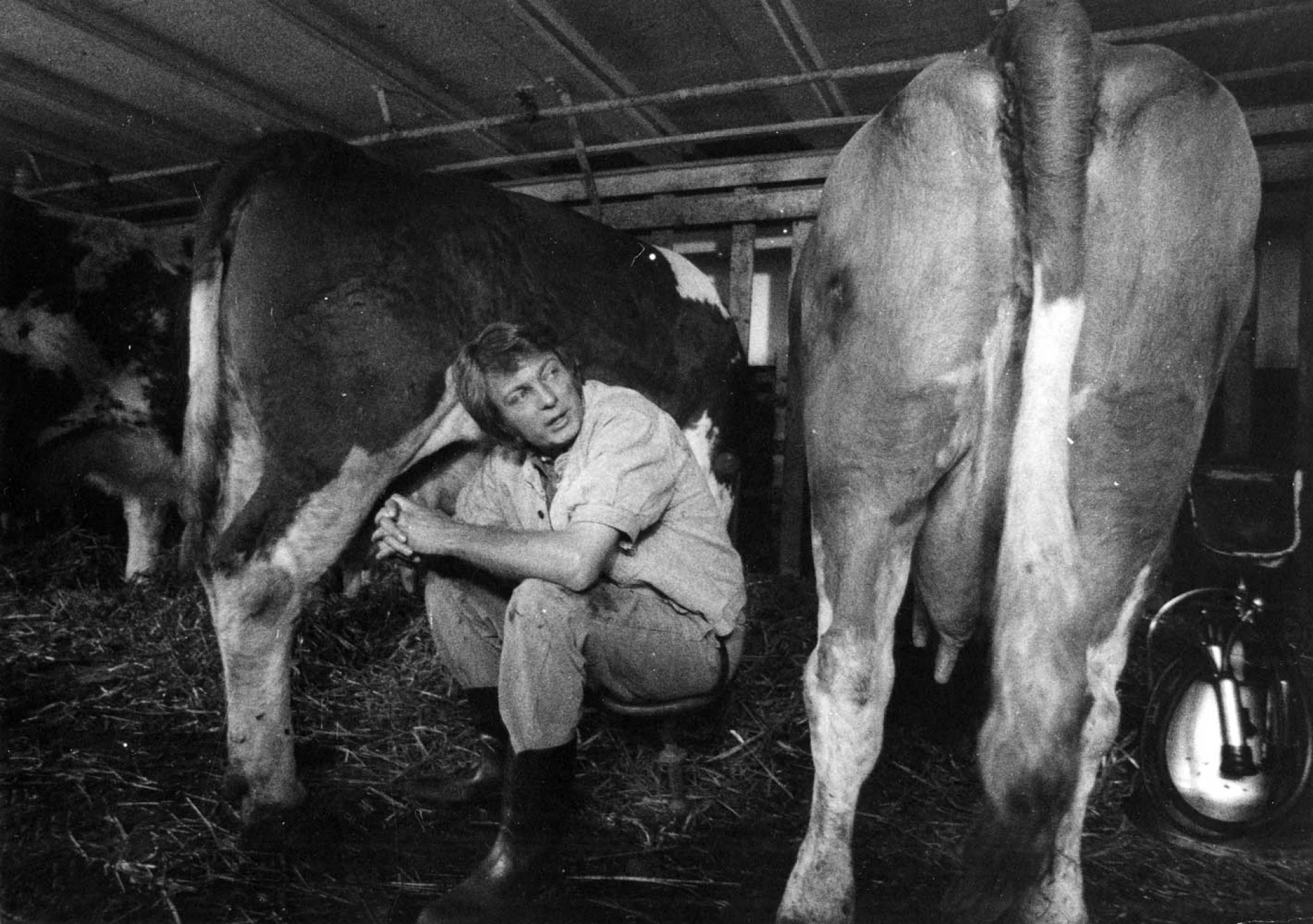 De Grotzepuur hero banner image placeholder