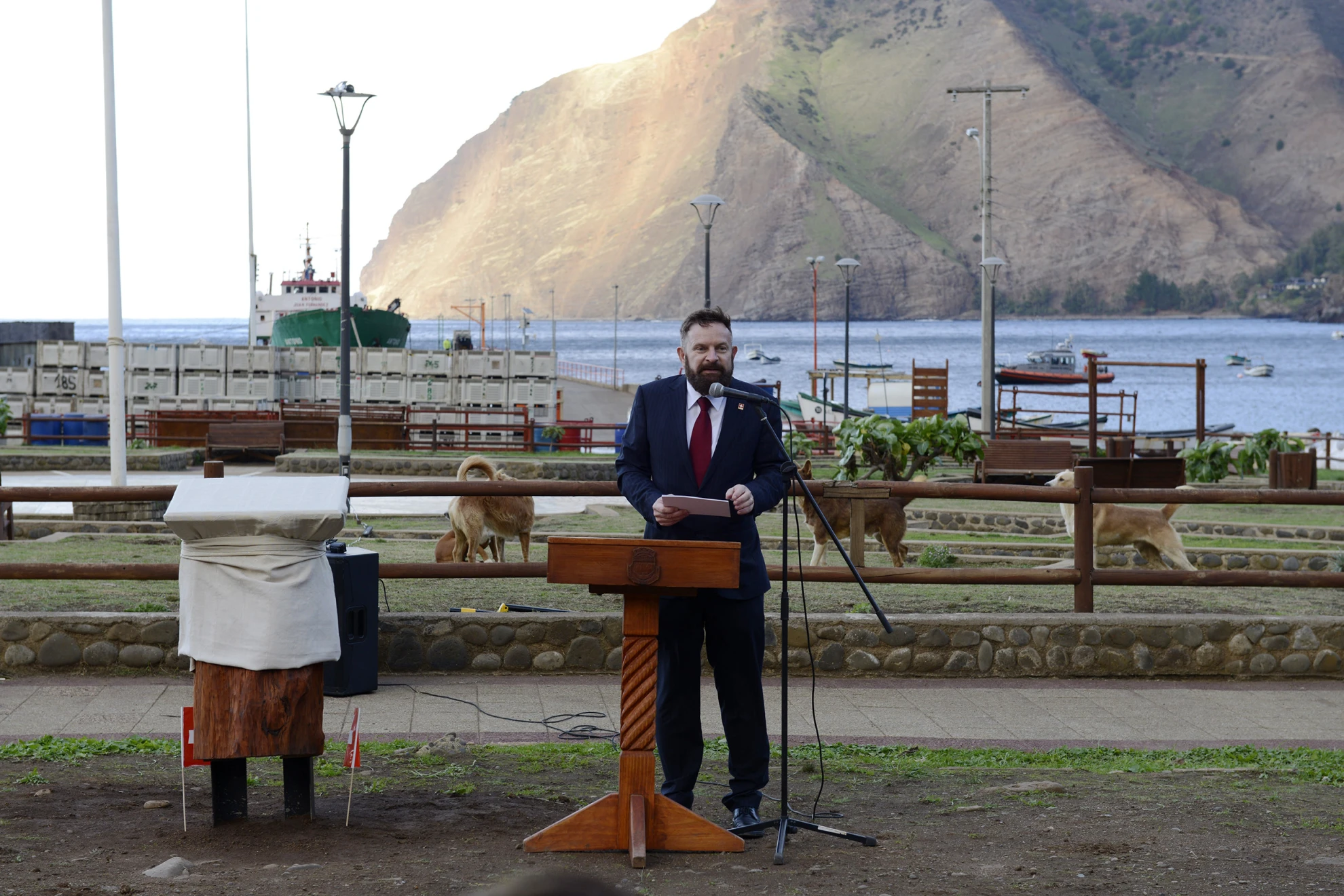 Insulaire hero banner image placeholder