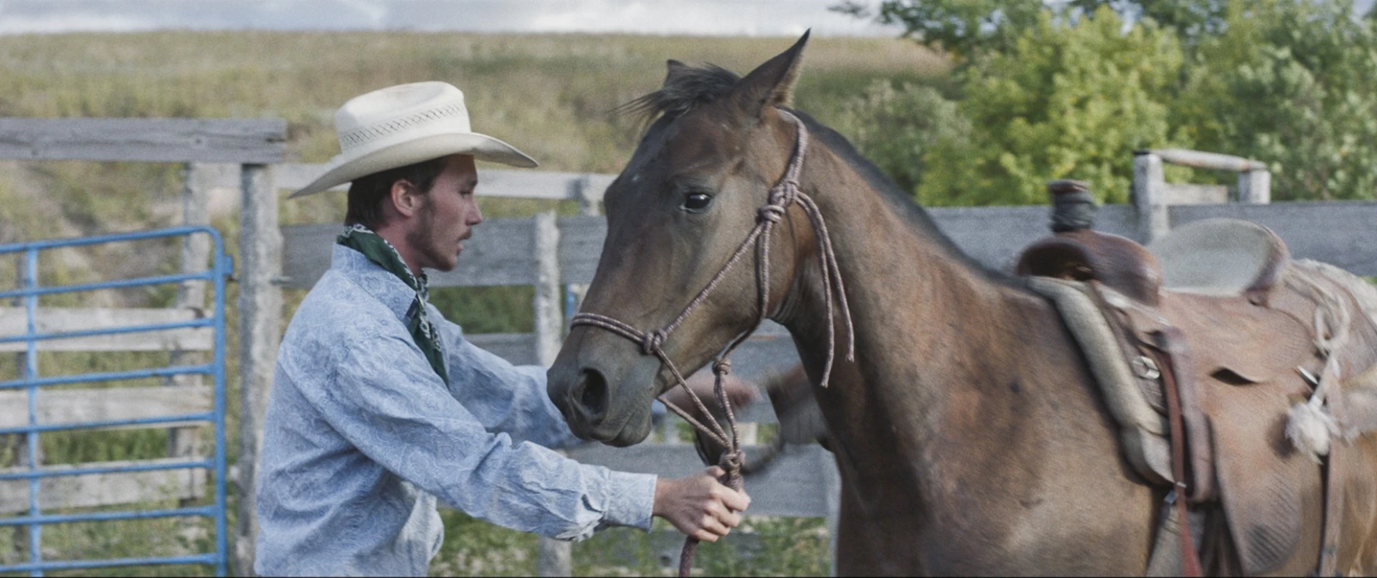 The Rider hero banner image placeholder