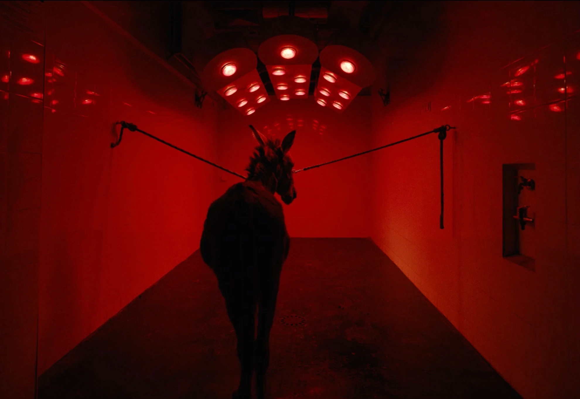 EO hero banner image placeholder